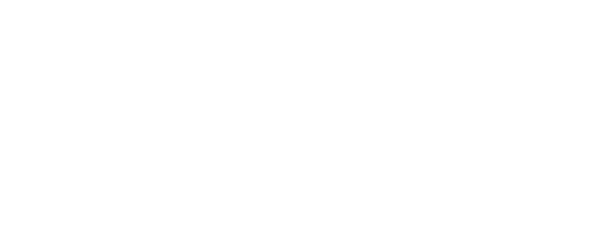MSL Customs